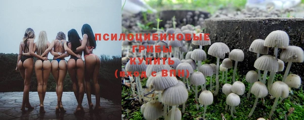 2c-b Богданович