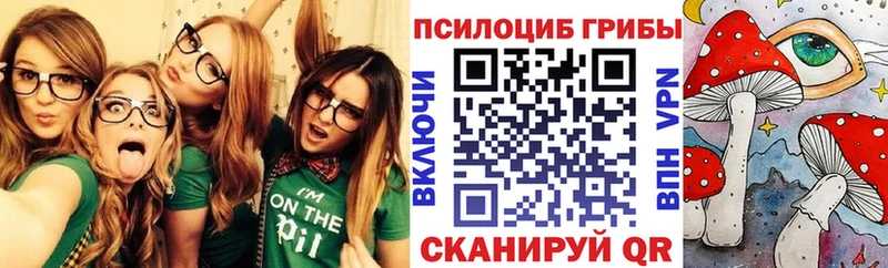 Псилоцибиновые грибы ЛСД  Купить  Белинский 